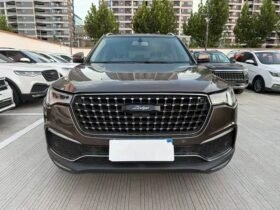 Zotye T700